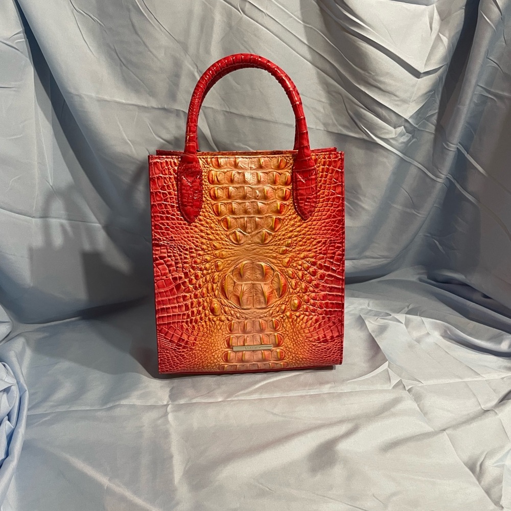 Moira Infusion Ombre Melboume Brahmin Purse